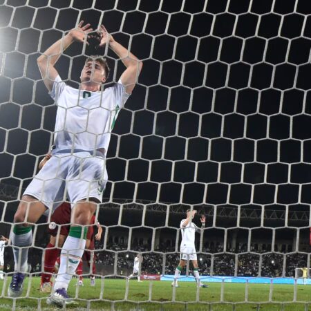 “Let’s Not Start to Cry Now” – Hallgrímsson Backs Ireland to Keep World Cup Hopes Alive